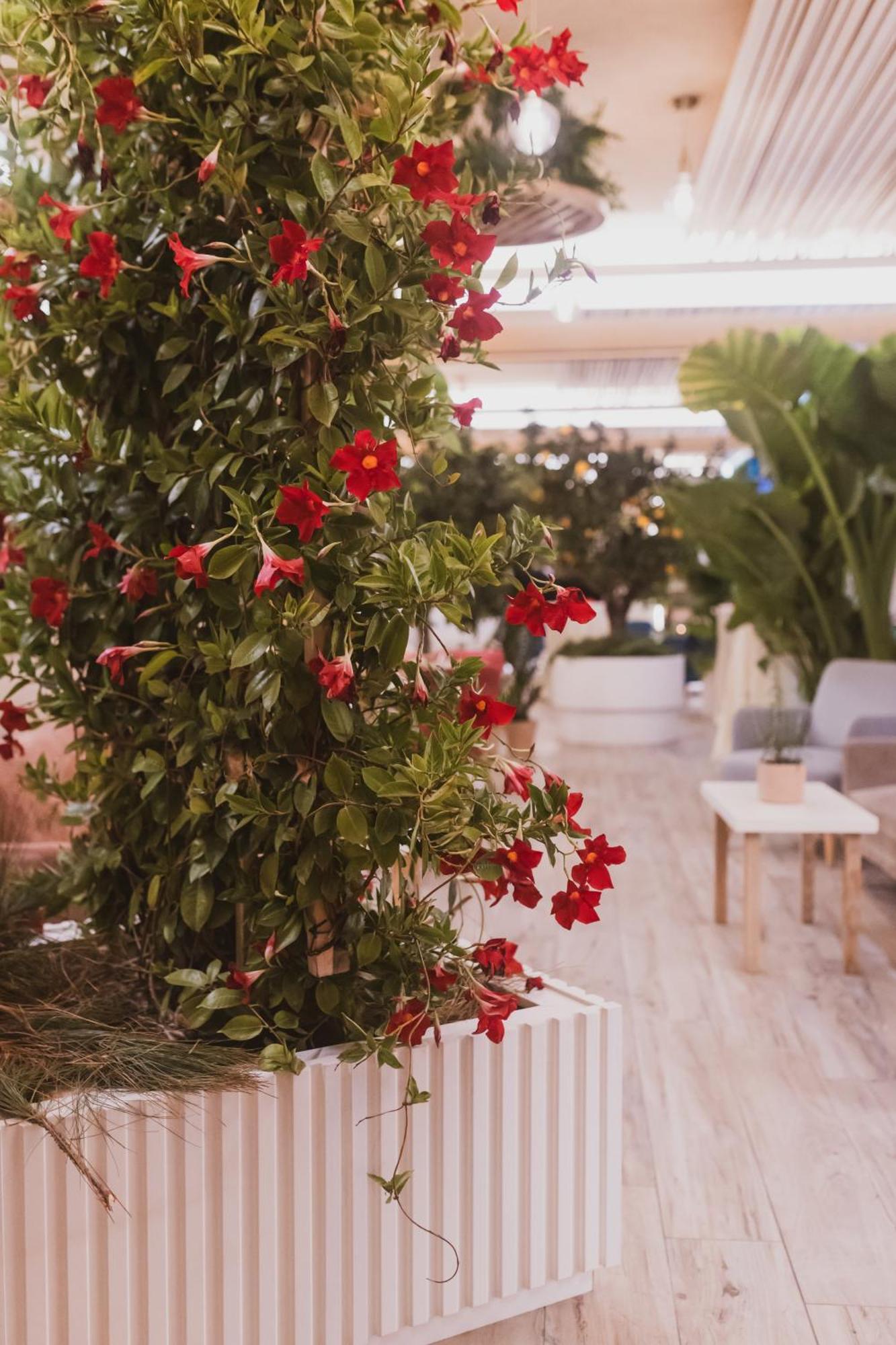 Sentido Michelizia Tropea Resort Dış mekan fotoğraf